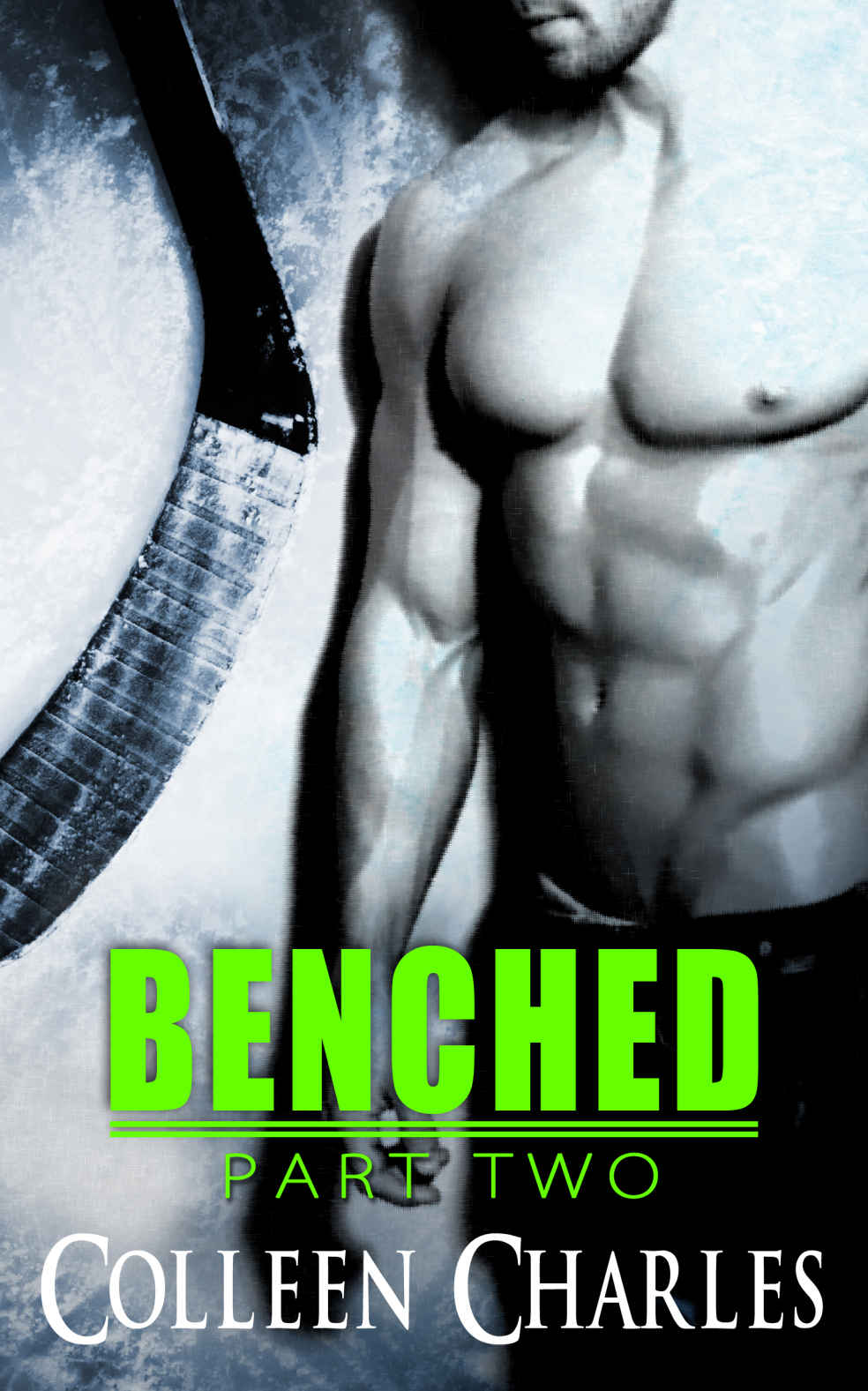 descargar libro Benched 2