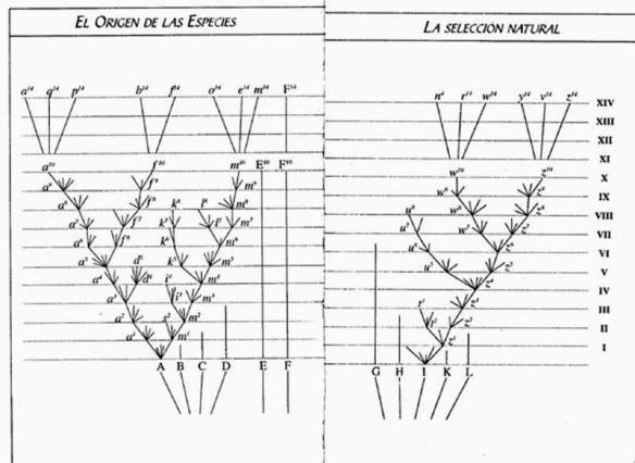 descargar libro El origen de las especies