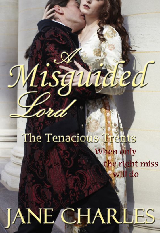 descargar libro A Misguided Lord