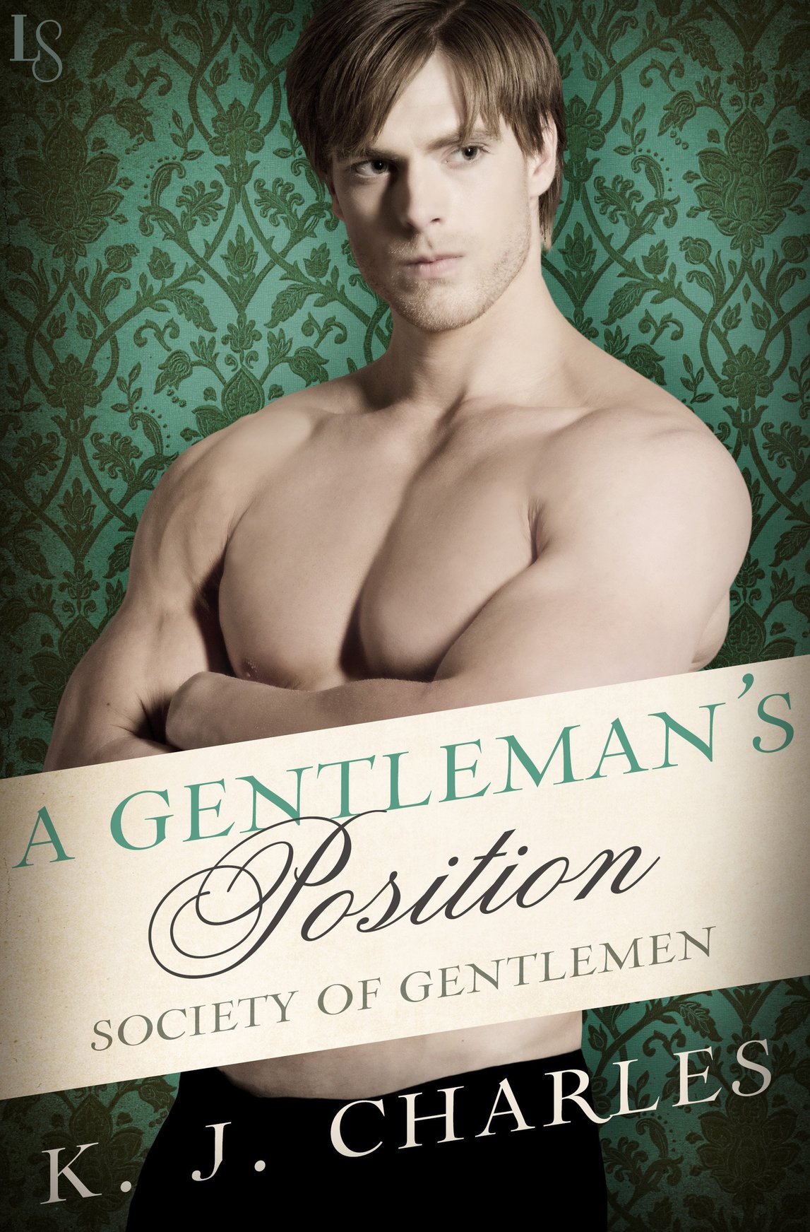 descargar libro A Gentleman's Position