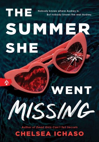 descargar libro The Summer She Went Missing