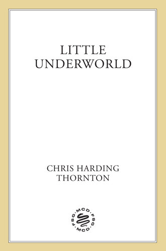 descargar libro Little Underworld