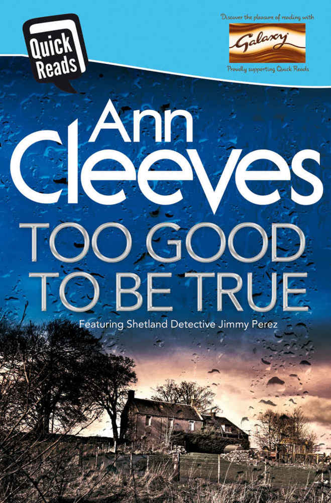 descargar libro Too Good to Be True