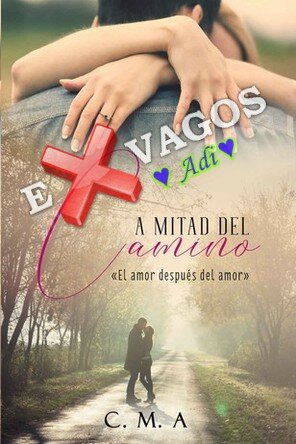 descargar libro A mitad del camino: El amor después del amor (Spanish Edition)