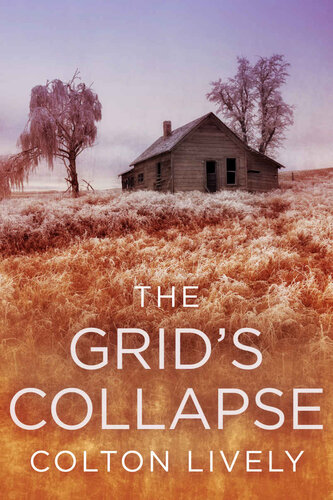 descargar libro The Grid's Collapse: A Small Town Post Apocalypse EMP Thriller