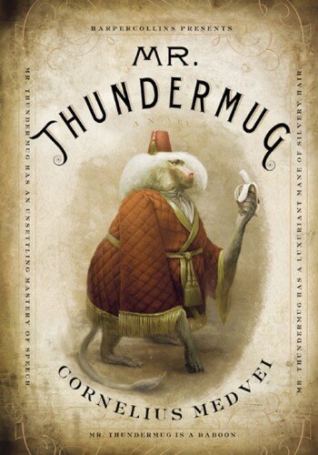 descargar libro Mr. Thundermug