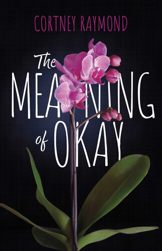 descargar libro The Meaning of Okay