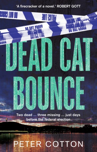 descargar libro Dead Cat Bounce