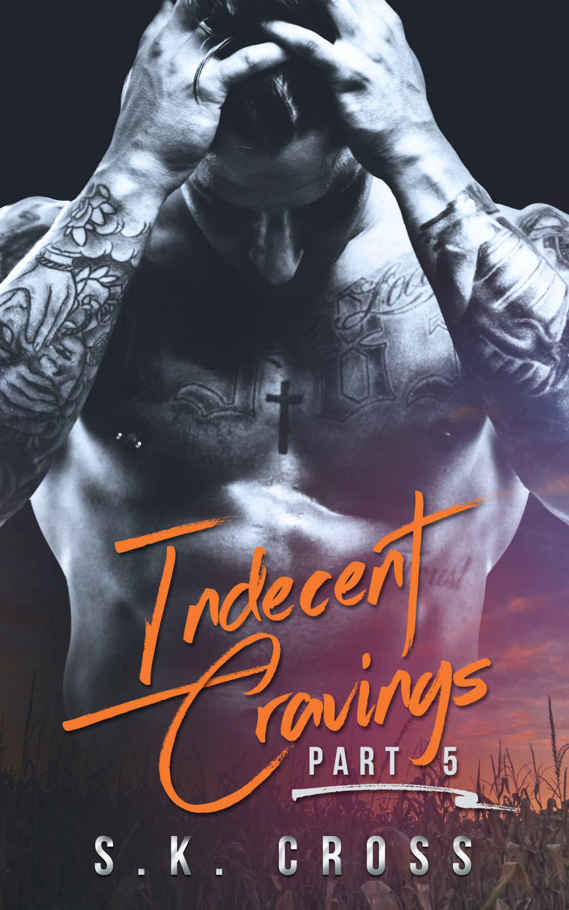 descargar libro Indecent Cravings 5