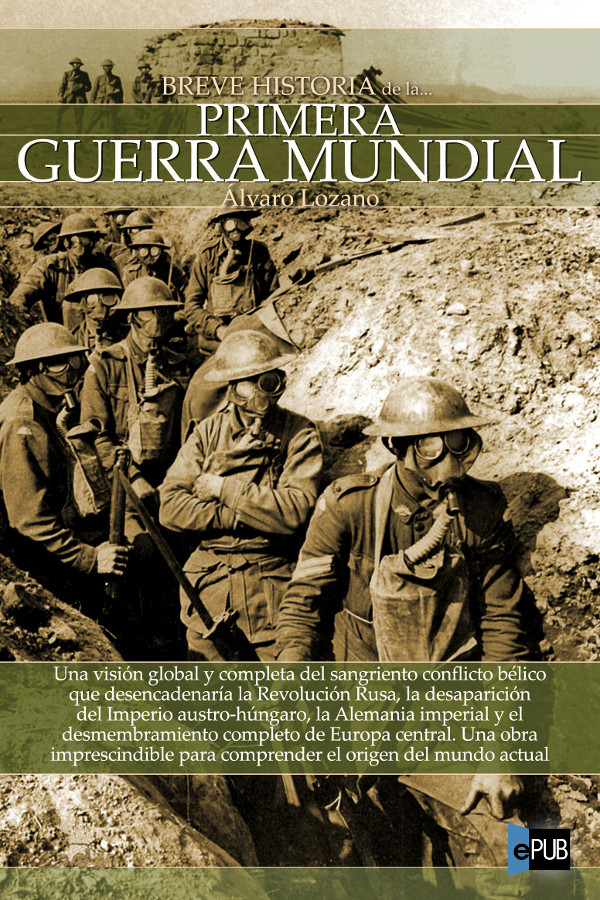 descargar libro Breve historia de la Primera Guerra Mundial 1914-1918