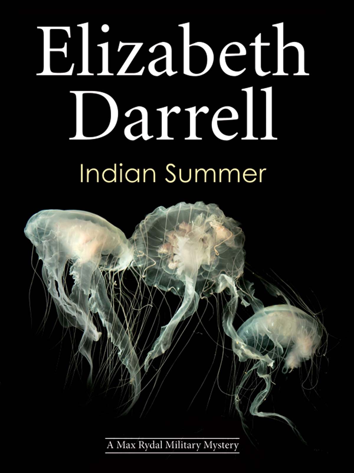 descargar libro Indian Summer