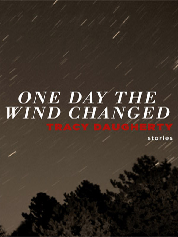 descargar libro One Day the Wind Changed