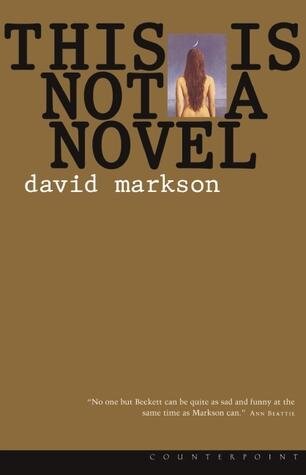 descargar libro This Is Not a Novel (2001)