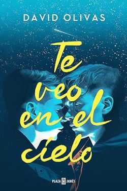 descargar libro Te veo en el cielo