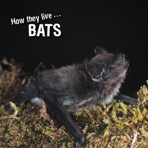 descargar libro How they live... Bats: Learn All There Is to Know About These Animals!