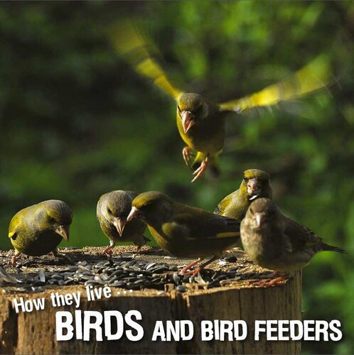 libro gratis How they live... Birds: Learn All There Is to Know About These Animals!