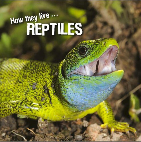 descargar libro How they live... Reptiles: Learn All There Is to Know About These Animals!