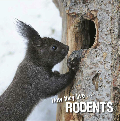 descargar libro How they live... Rodents: Learn All There Is to Know About These Animals!