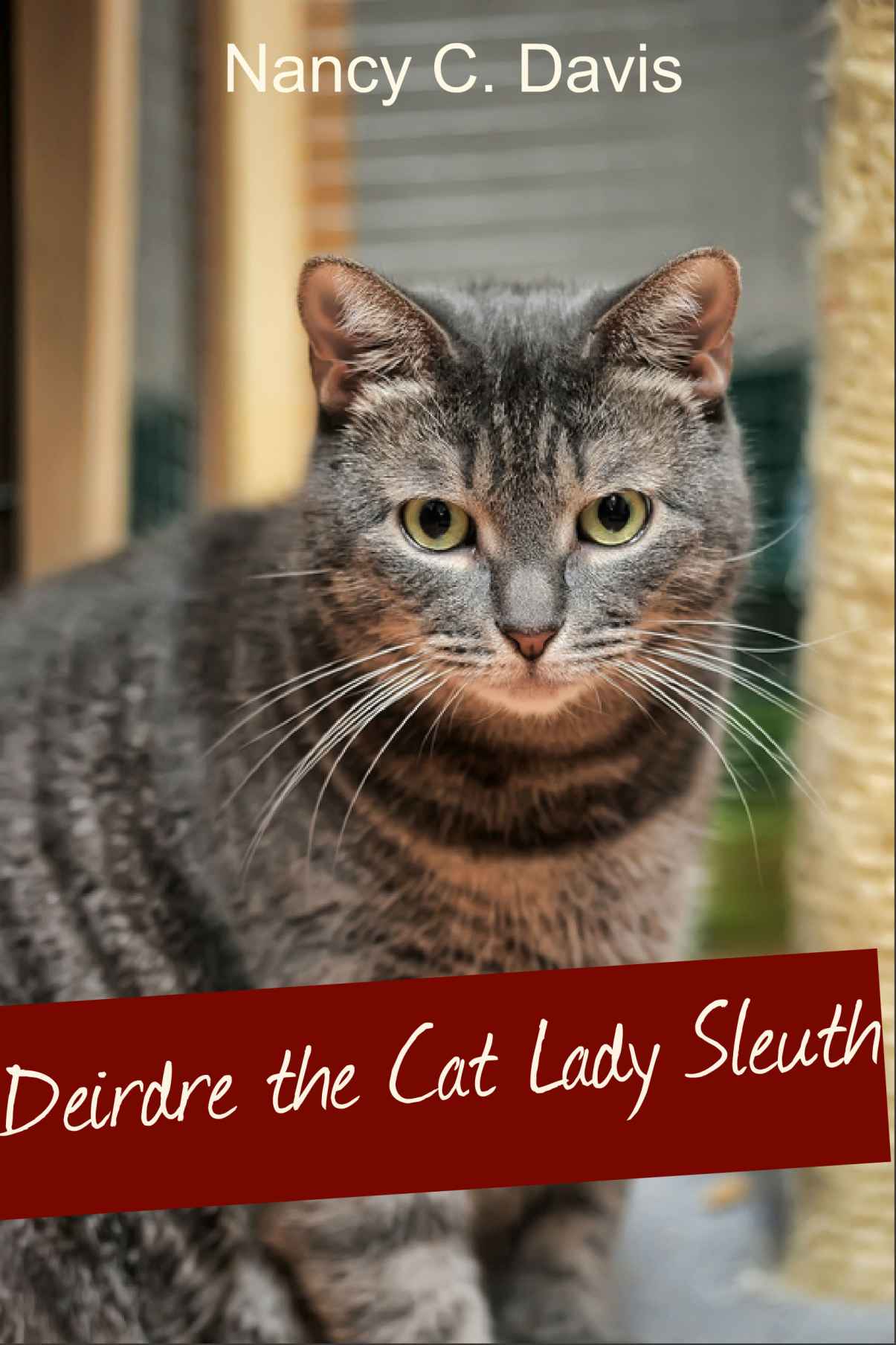 descargar libro Deirdre The Cat Lady Sleuth