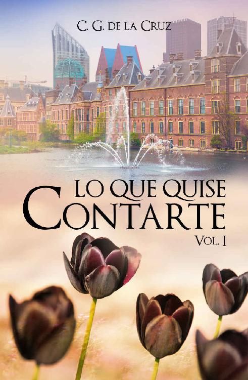 descargar libro Lo que quise contarte (Spanish Edition)