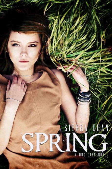 descargar libro Spring