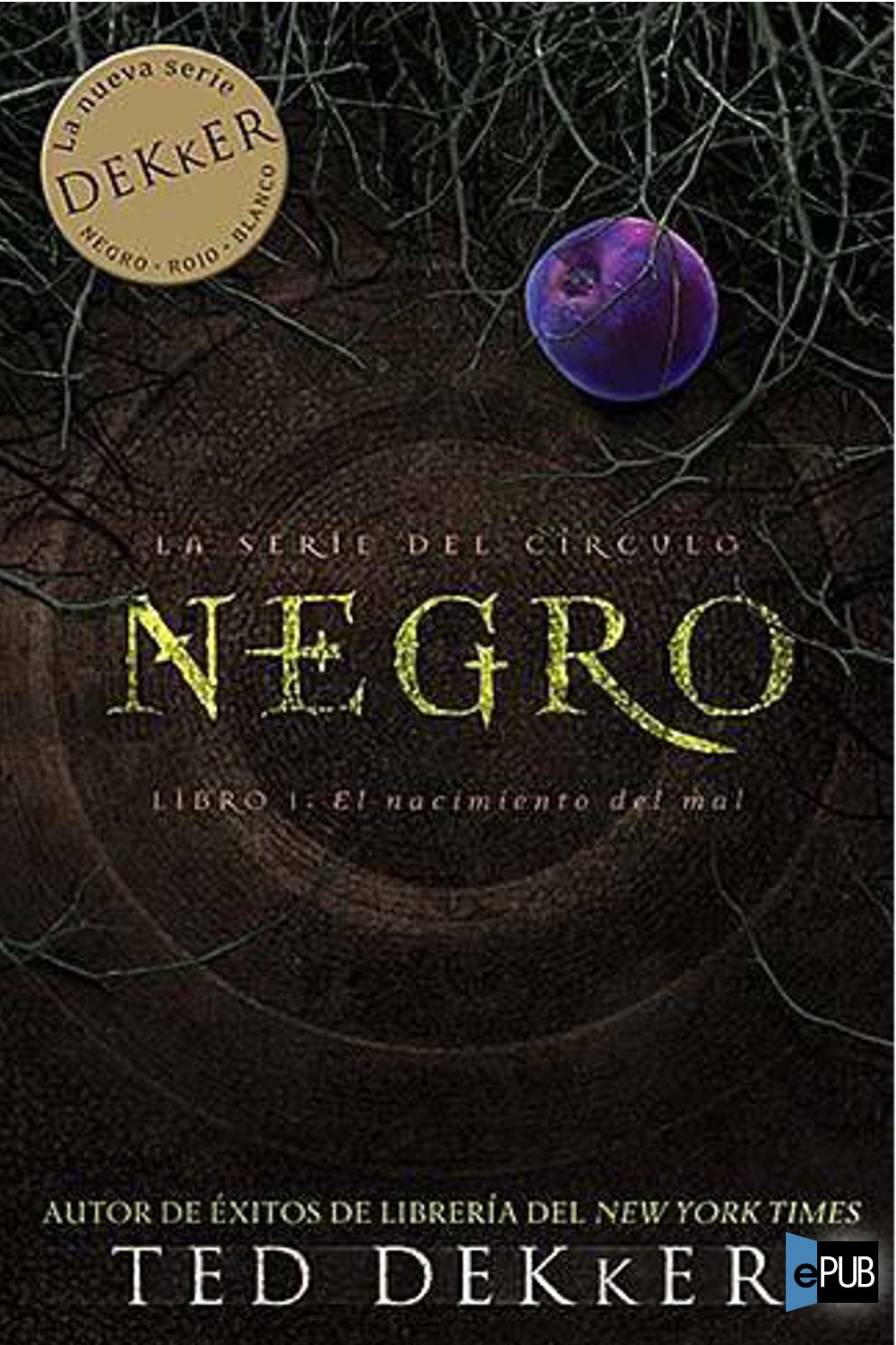 descargar libro Negro