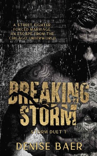 libro gratis Breaking Storm