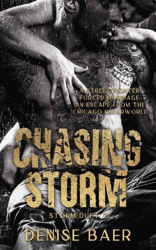 descargar libro Chasing Storm