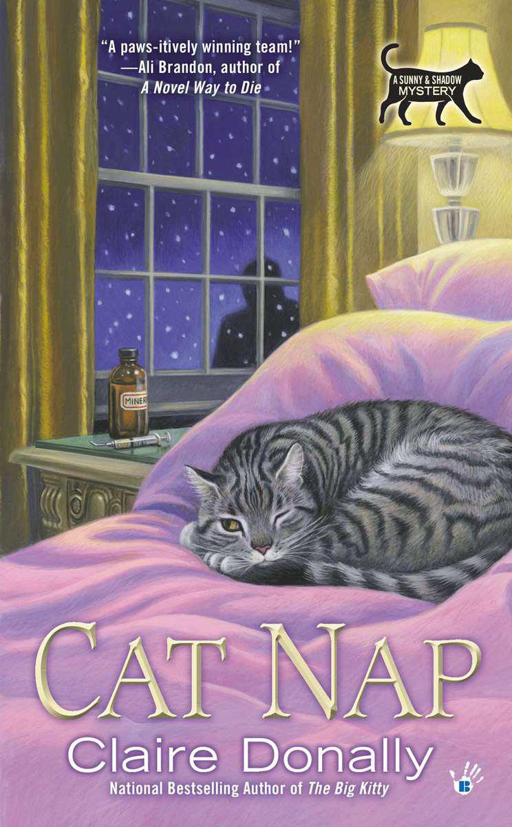 descargar libro Cat Nap