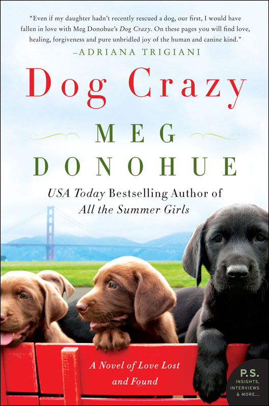 libro gratis Dog Crazy