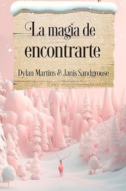 descargar libro La magia de encontrarte