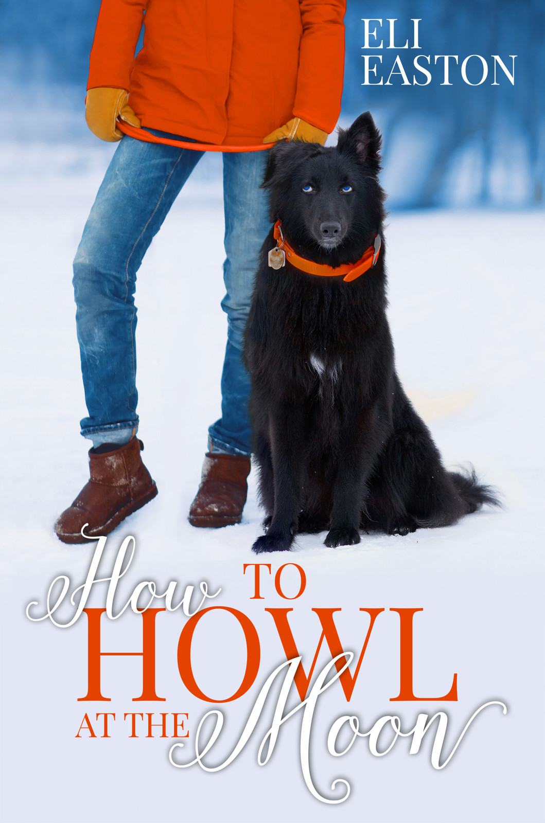 descargar libro How to Howl at the Moon