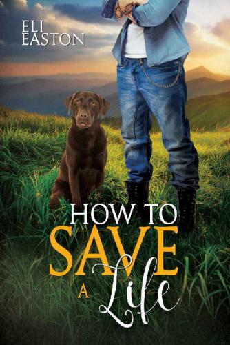 descargar libro How to Save a Life