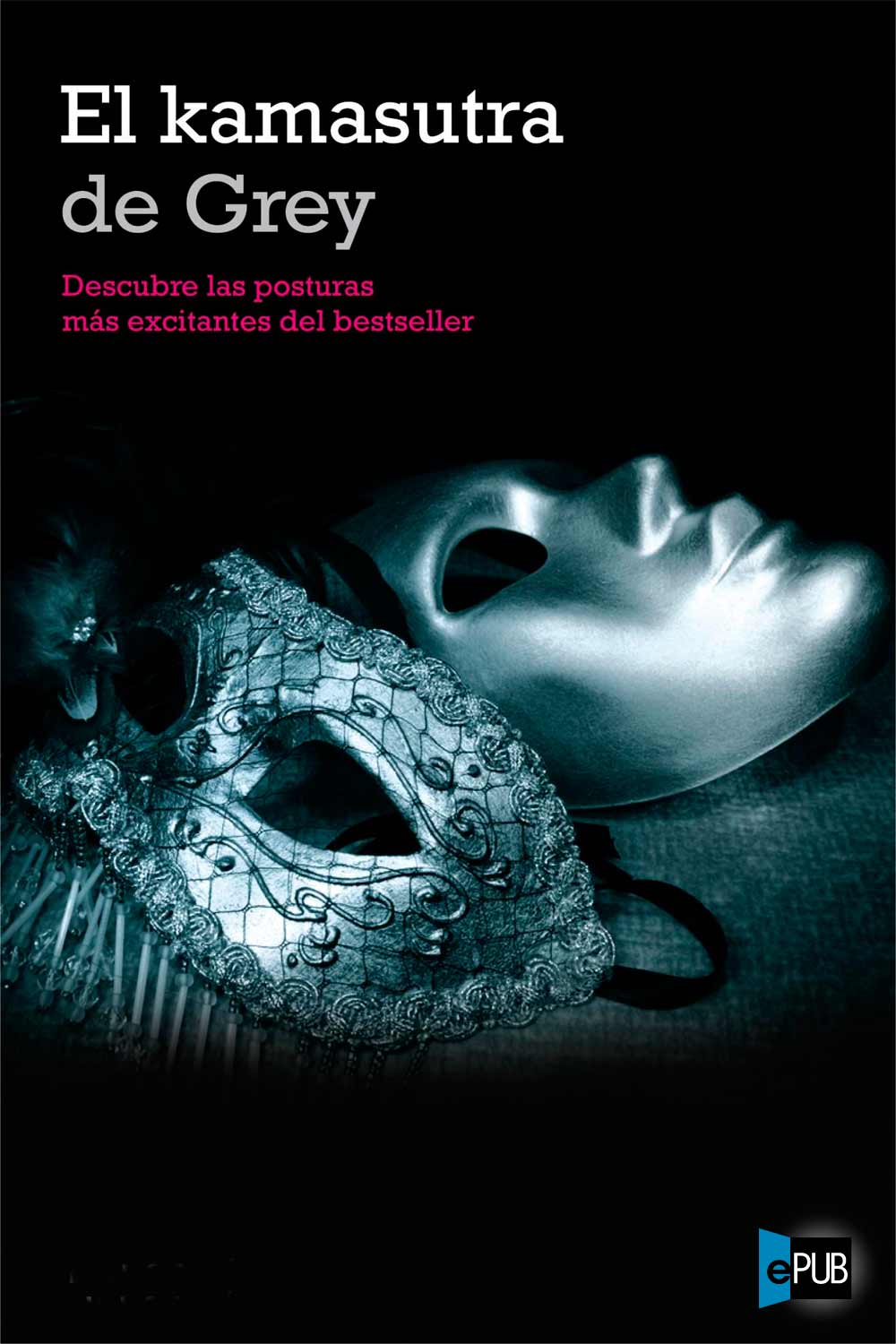 descargar libro El kamasutra de Grey