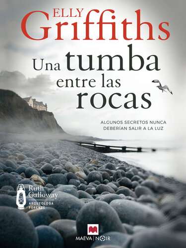 descargar libro Una tumba entre las rocas: Algunos secretos nunca deberían salir a la luz