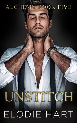 descargar libro Unstitch