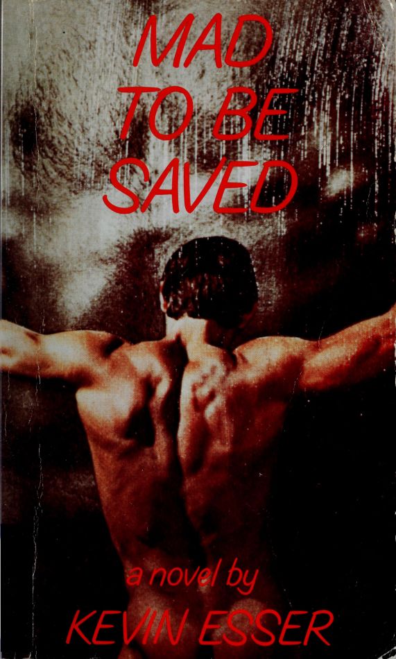 descargar libro Mad to be Saved