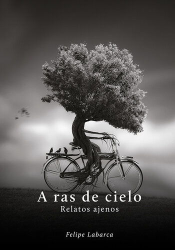 descargar libro A ras de cielo: Relatos Ajenos