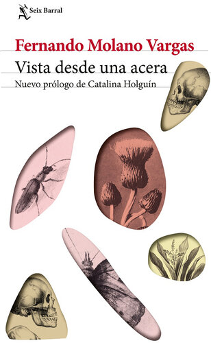 descargar libro Vista desde una acera