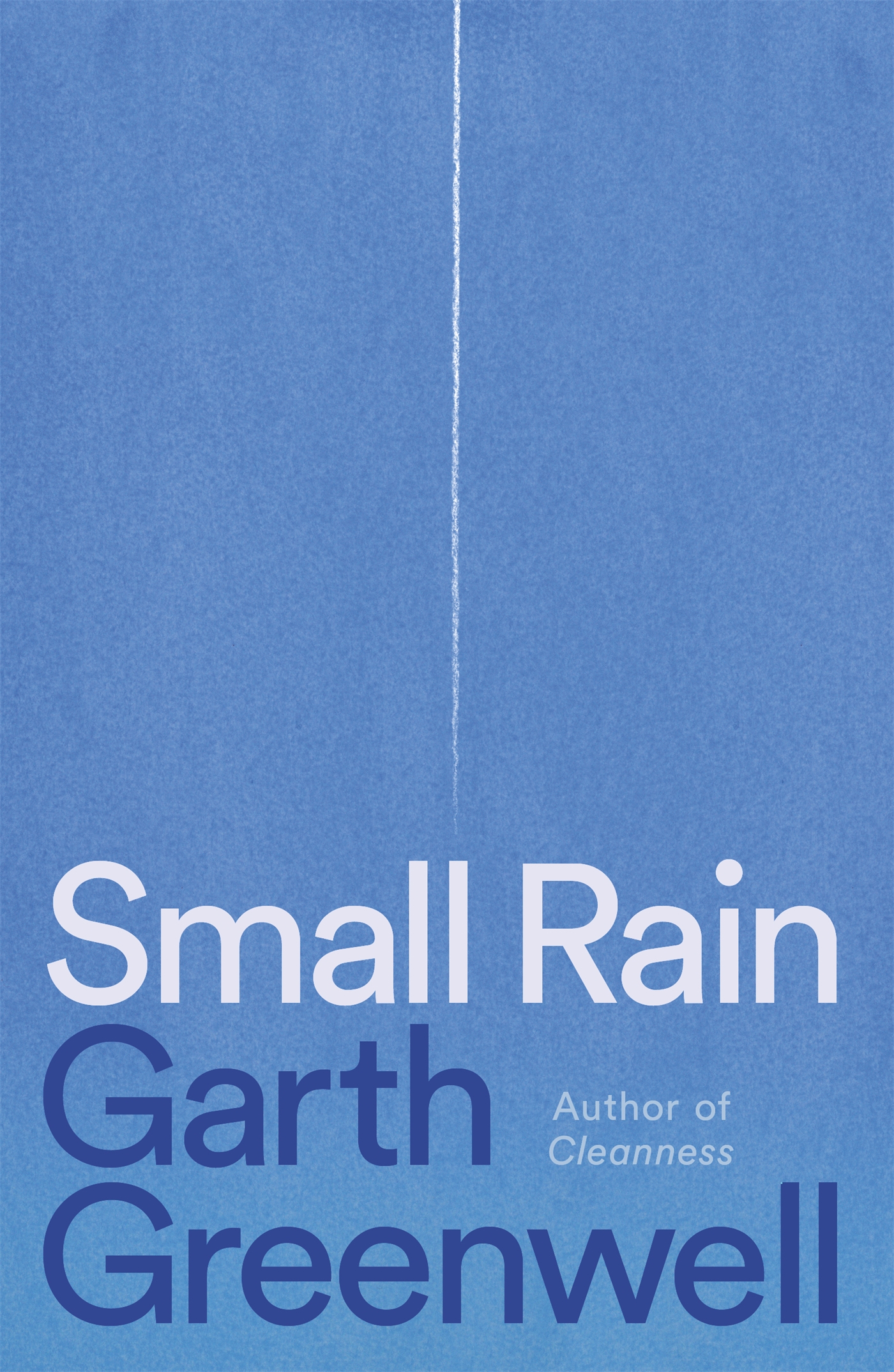 descargar libro Small Rain