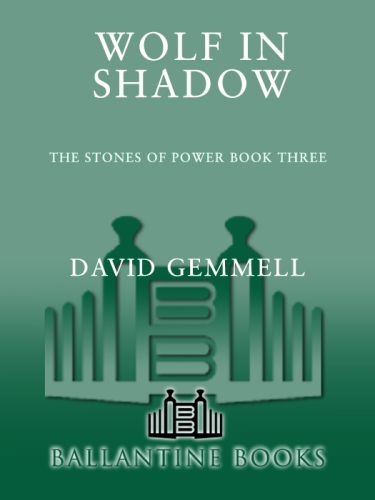 descargar libro Wolf in Shadow (The Jerusalem Man)