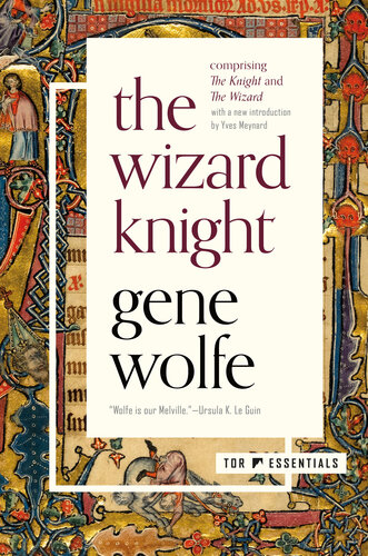 descargar libro The Wizard Knight