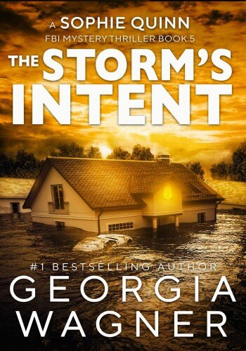 descargar libro The Storm's Intent