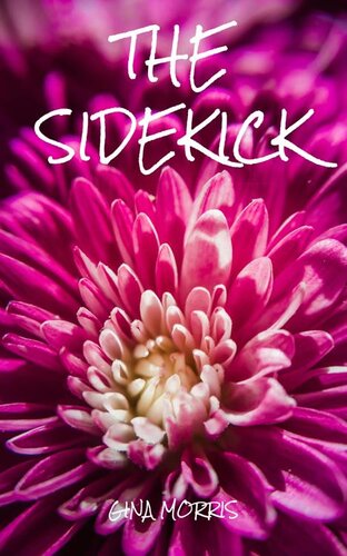 descargar libro The Sidekick