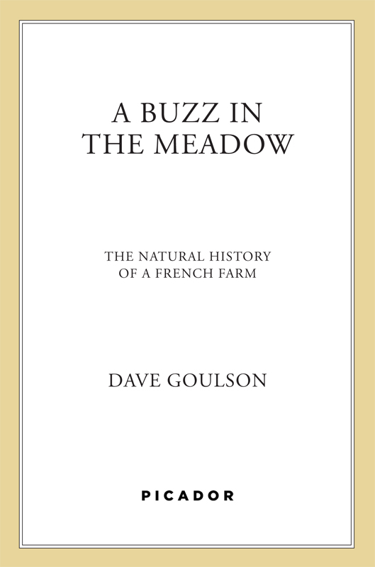 descargar libro A Buzz in the Meadow: The Natural History of a French Farm