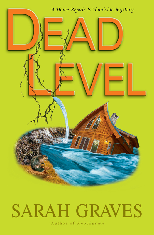 descargar libro Dead Level