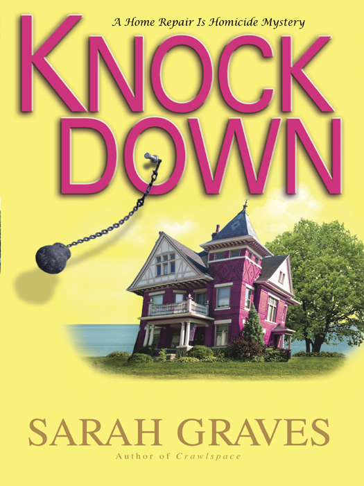 descargar libro Knockdown