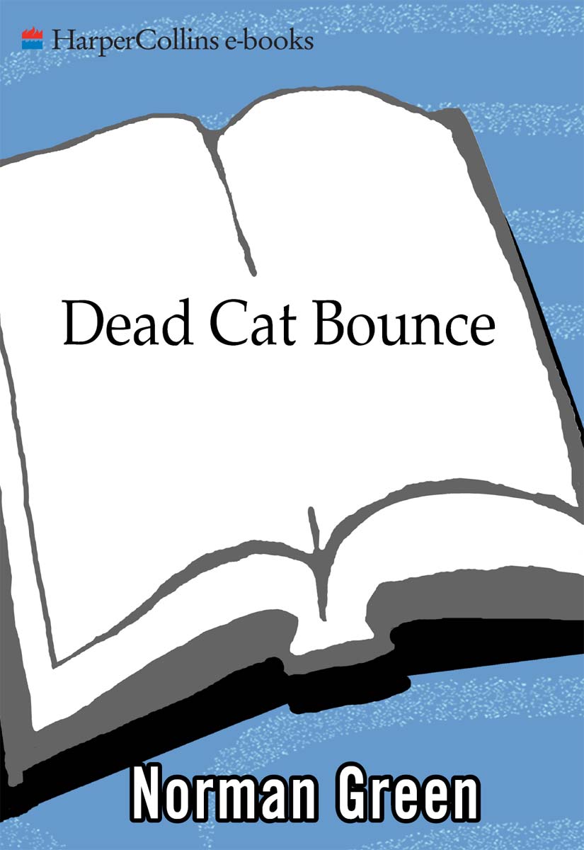 descargar libro Dead Cat Bounce