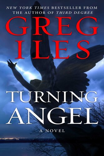 descargar libro Turning Angel