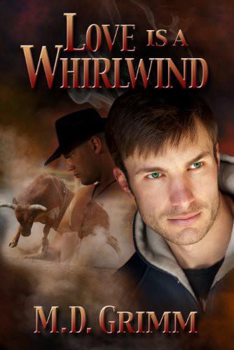 descargar libro Love Is a Whirlwind